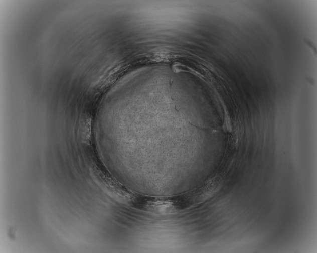 X0000101650554200807241357