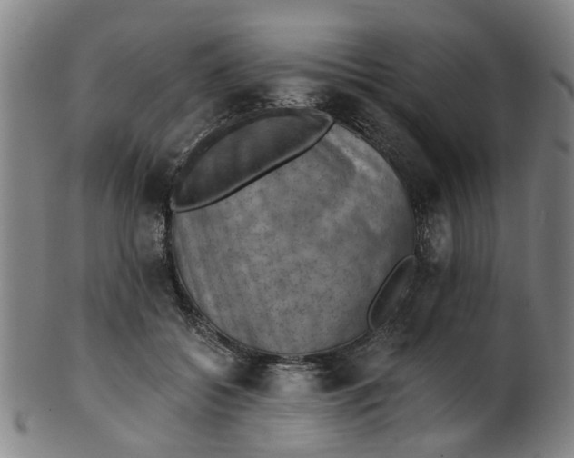 X0000101650556200807241357