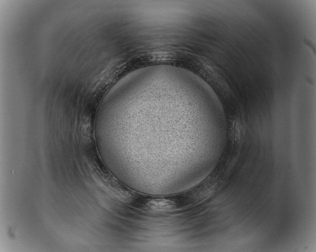 X0000101650557200807241357