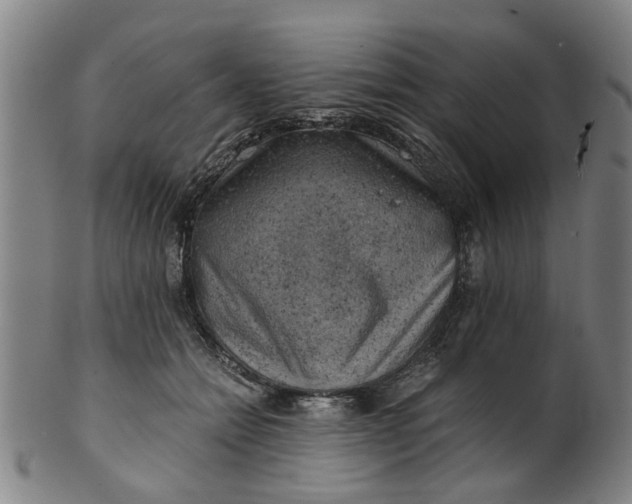 X0000101650558200807241357