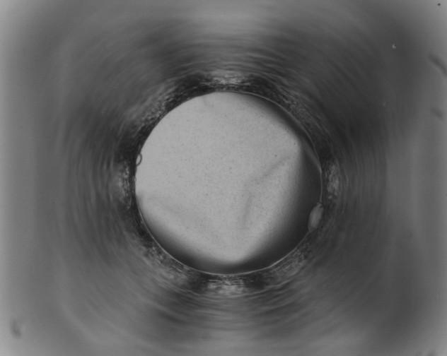 X0000101650559200807241357