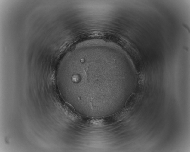 X0000101650560200807241357