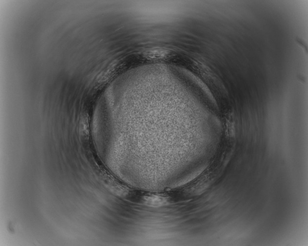 X0000101650561200807241357