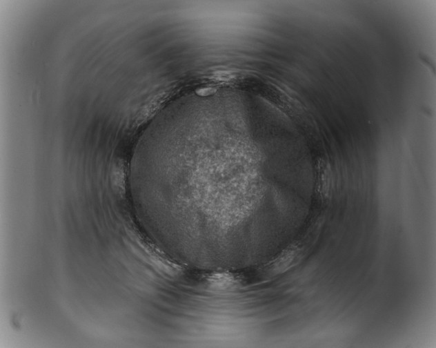 X0000101650562200807241357