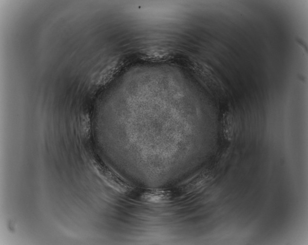 X0000101650563200807241357