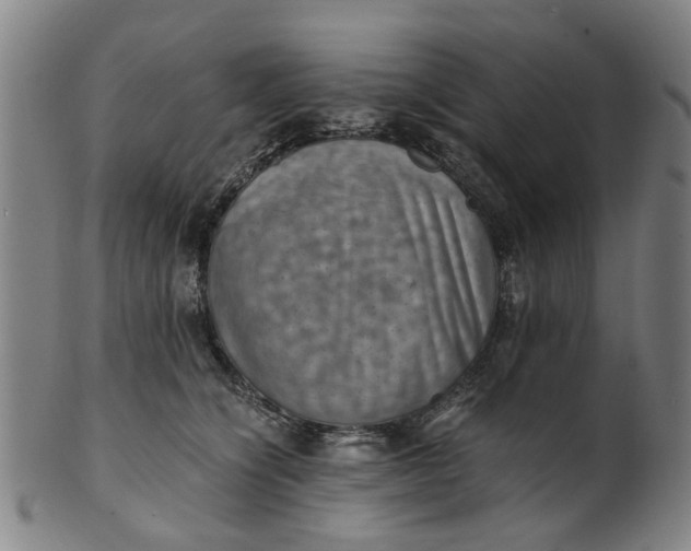 X0000101650564200807241357