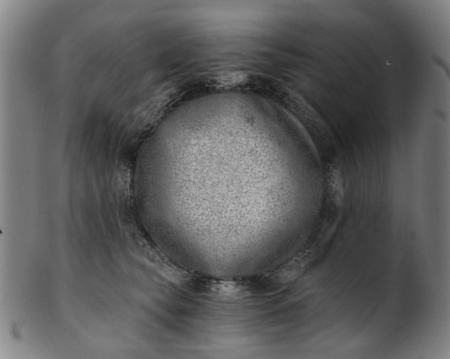 X0000101650565200807241357