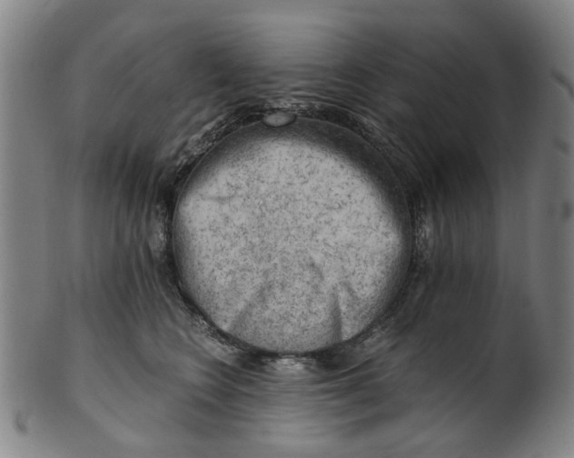 X0000101650566200807241357