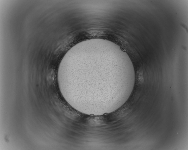 X0000101650567200807241357