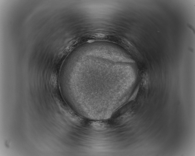 X0000101650568200807241357