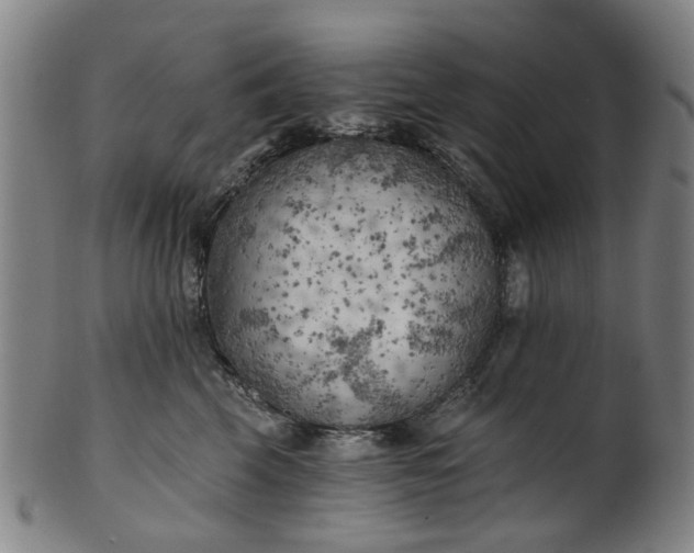 X0000101650569200807241357