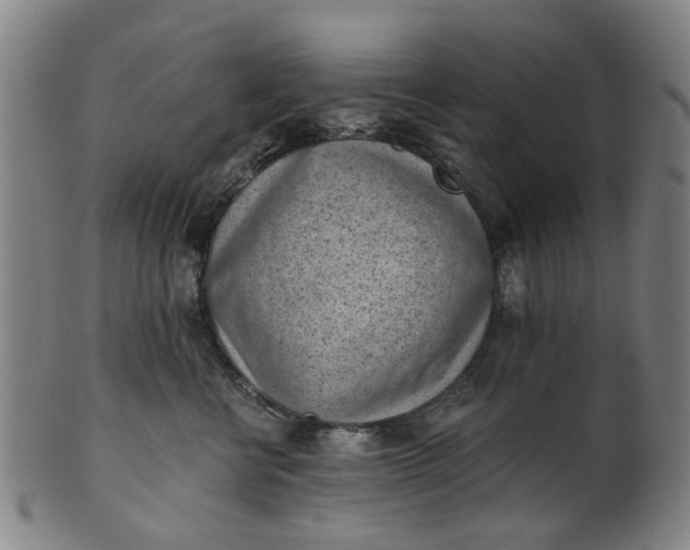 X0000101650570200807241357