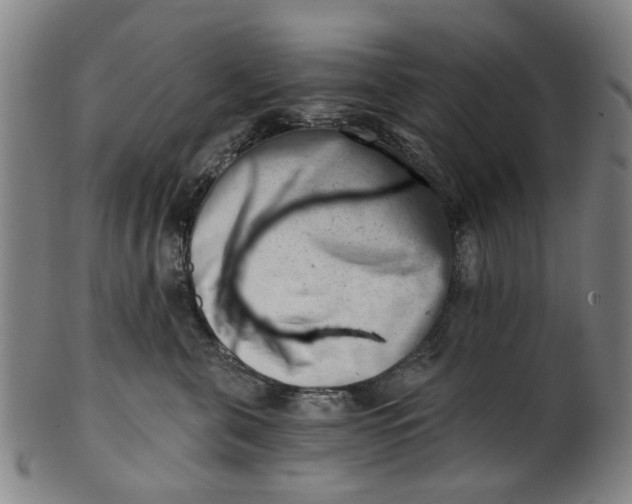 X0000101650571200807241357