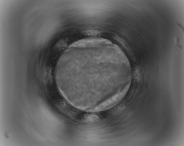 X0000101650572200807241357