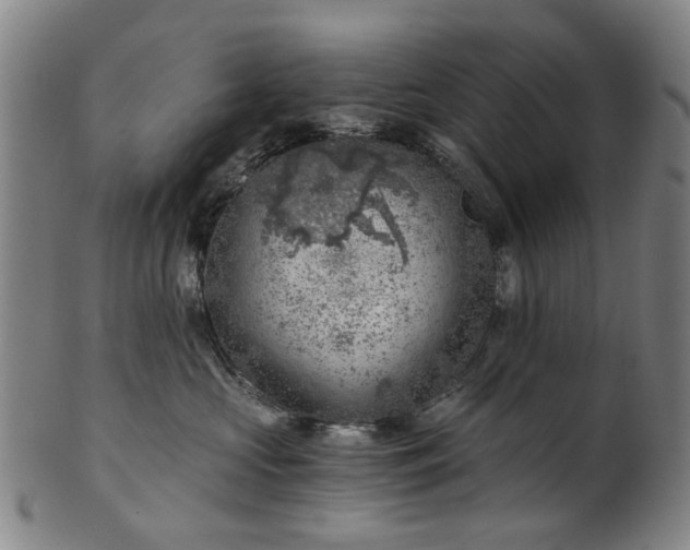 X0000101650573200807241357