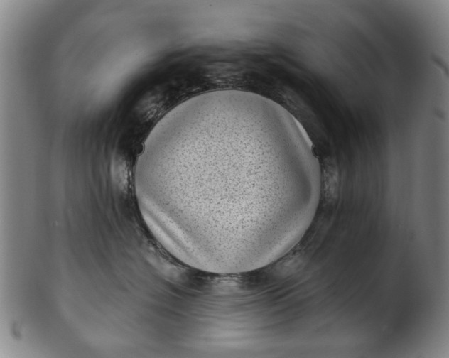 X0000101650574200807241357