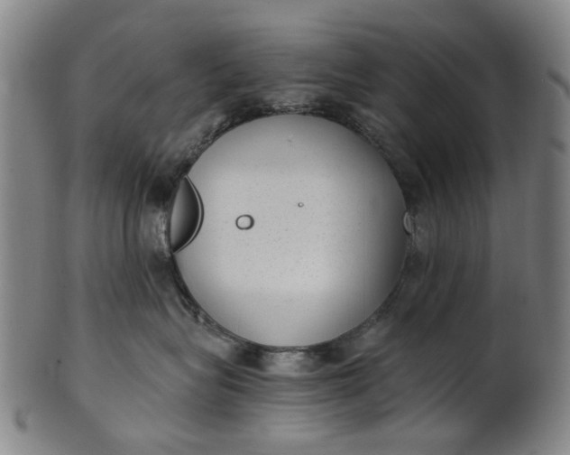 X0000101650575200807241357