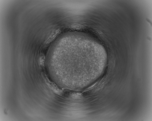 X0000101650576200807241357