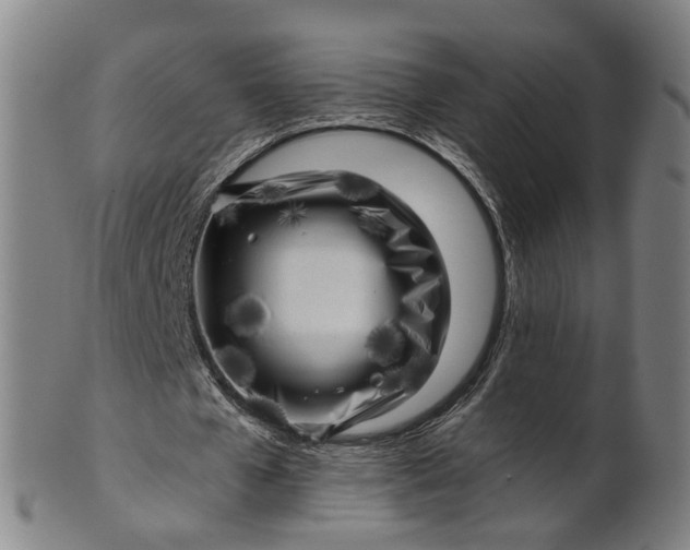 X0000101650577200807241357