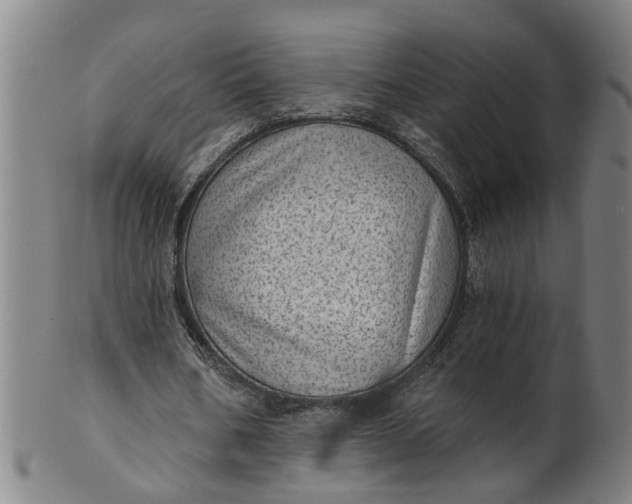 X0000101650578200807241357