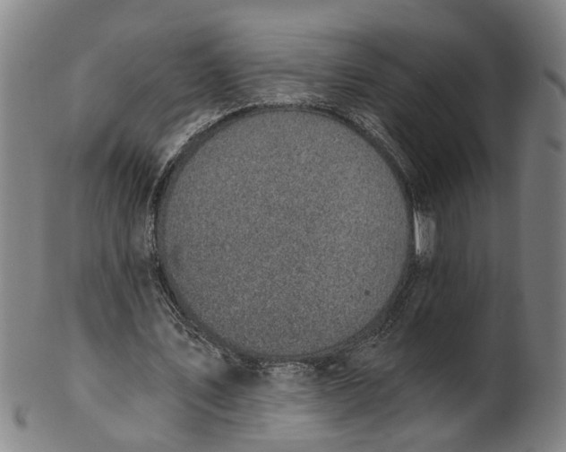 X0000101650579200807241357