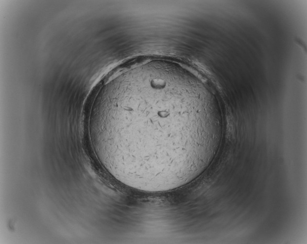 X0000101650580200807241357