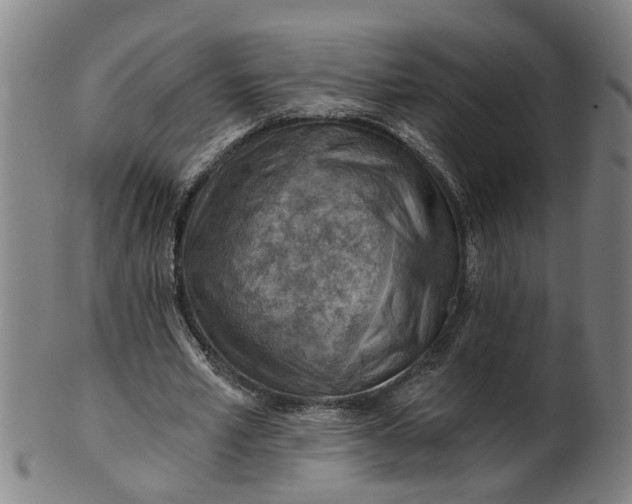 X0000101650581200807241357