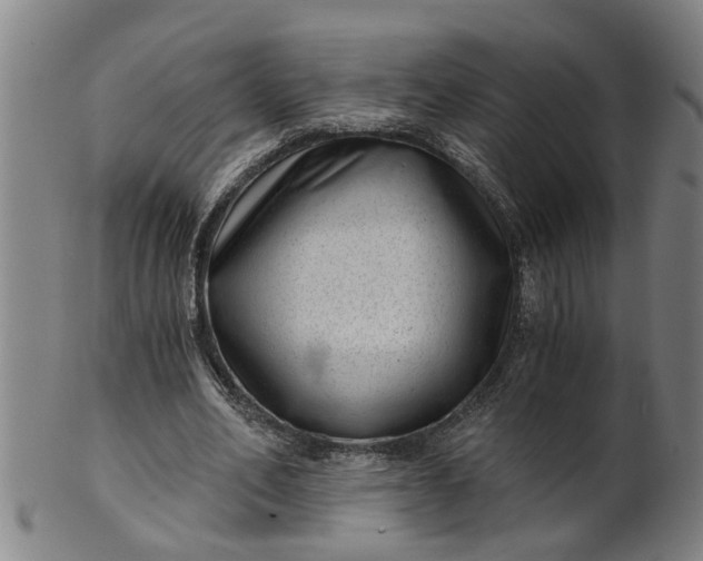 X0000101650582200807241357