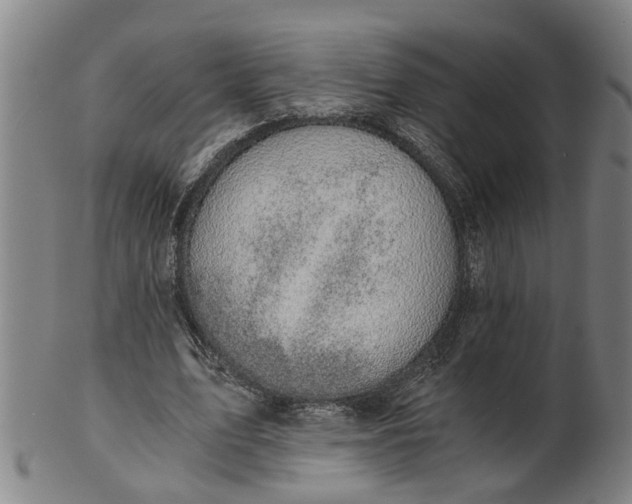 X0000101650583200807241357