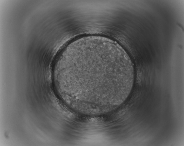 X0000101650584200807241357