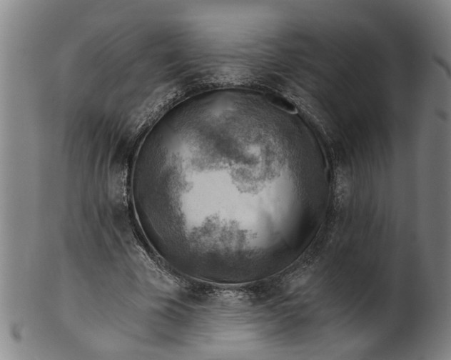 X0000101650585200807241357