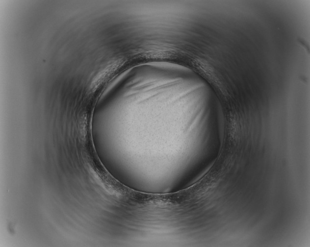 X0000101650586200807241357