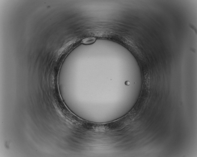 X0000101650587200807241357