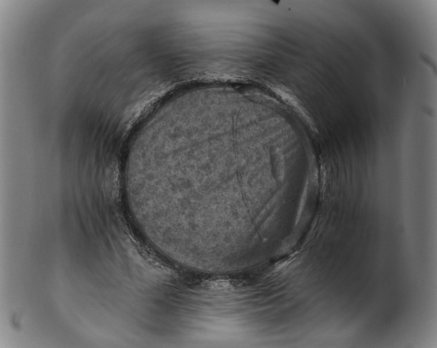 X0000101650588200807241357