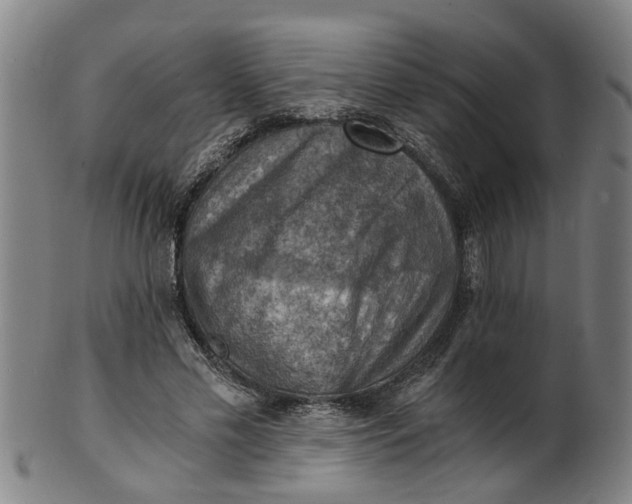 X0000101650589200807241357