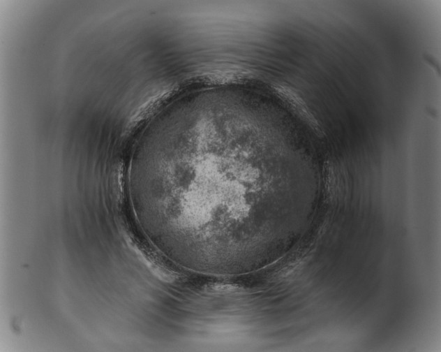 X0000101650590200807241357