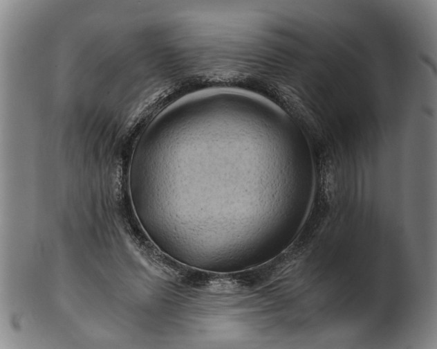 X0000101650591200807241357