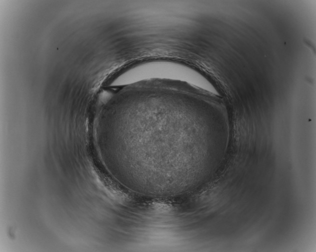 X0000101650592200807241357