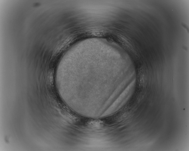 X0000101650595200807241357