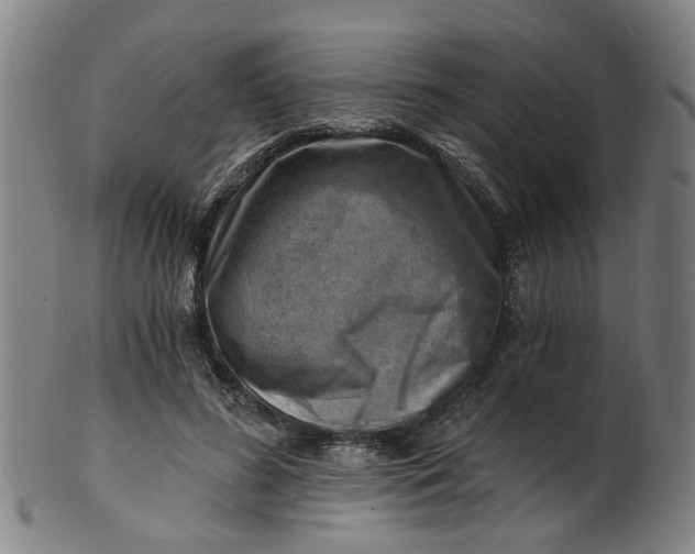 X0000101650596200807241357