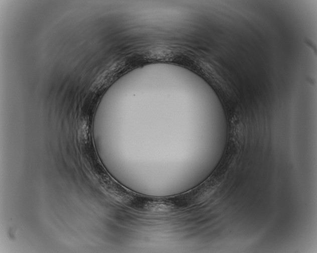 X0000101650597200807241356