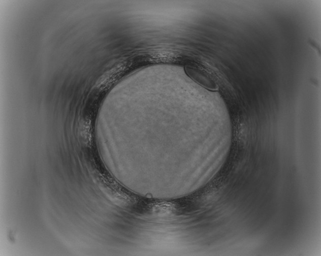 X0000101650599200807241356