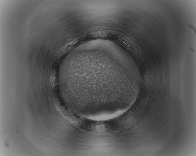 X0000101650600200807241356