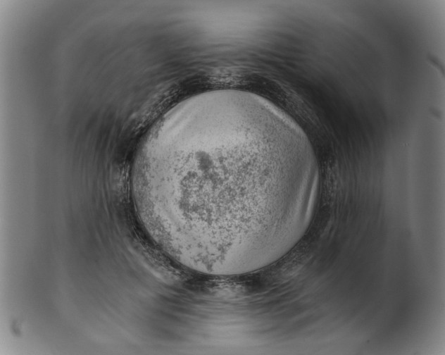 X0000101650601200807241356