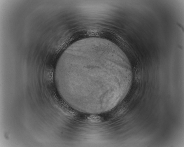 X0000101650603200807241356