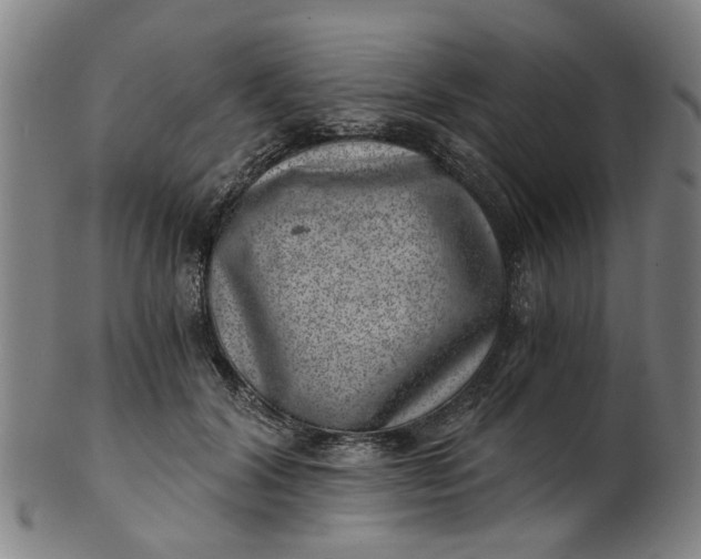 X0000101650604200807241356