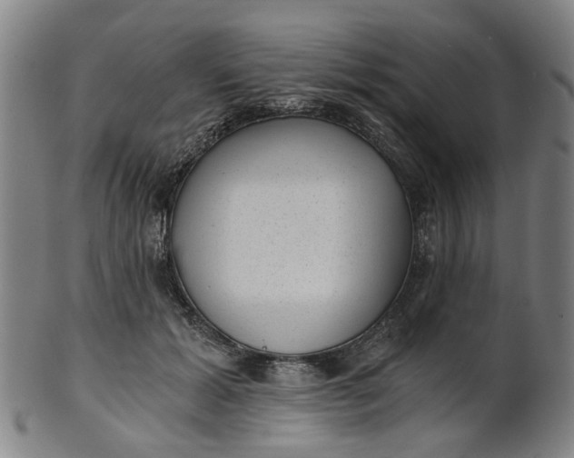 X0000101650605200807241356