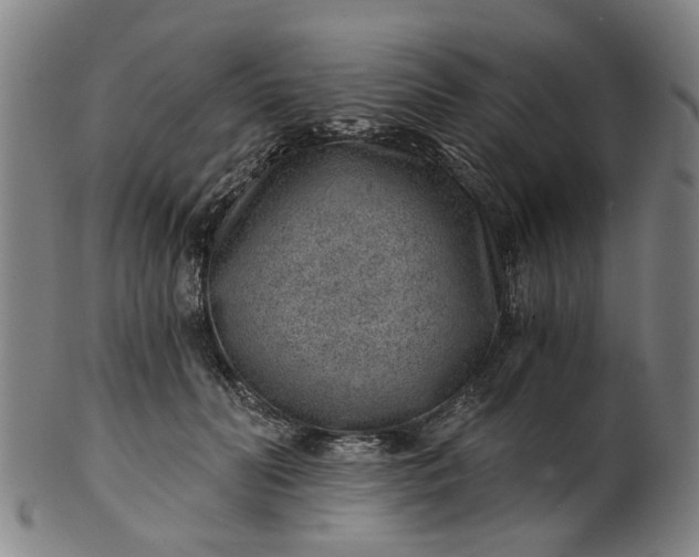 X0000101650606200807241356