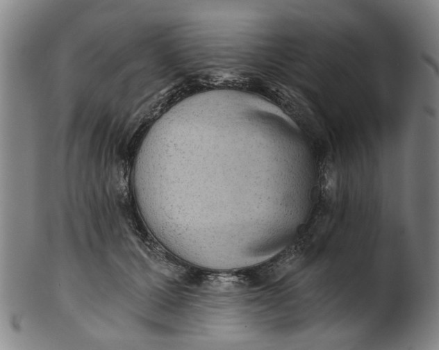 X0000101650607200807241356