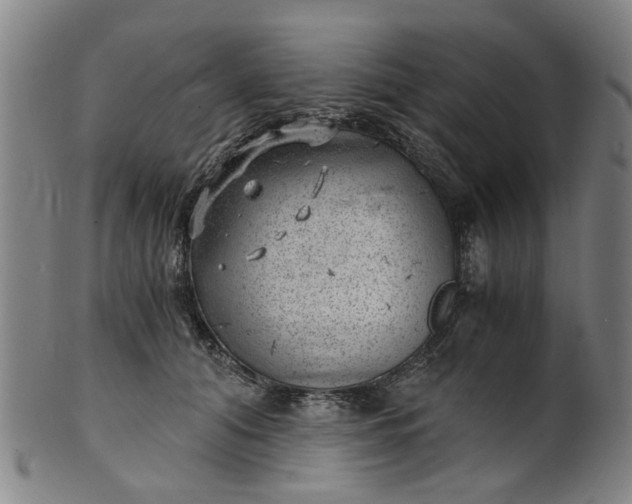 X0000101650608200807241356